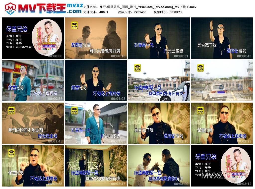 郑平-保重兄弟_国语_流行_YE800828